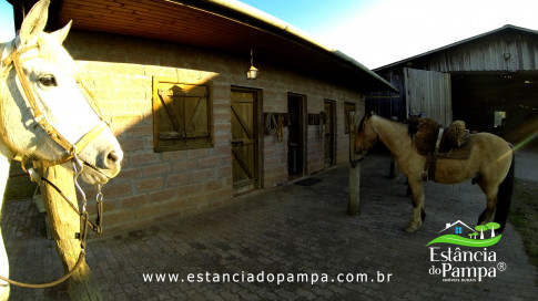 DOS EÓLICOS VIRA P FAZENDA_Moment.00_03_54_17.Quadro405_b50e7a004f88c4955ec8806c2fcfcf2b043e6689.jpg